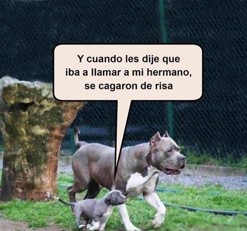 Hermano - Meme subido por THECOTE :) Memedroid