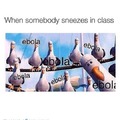 Finding Ebola