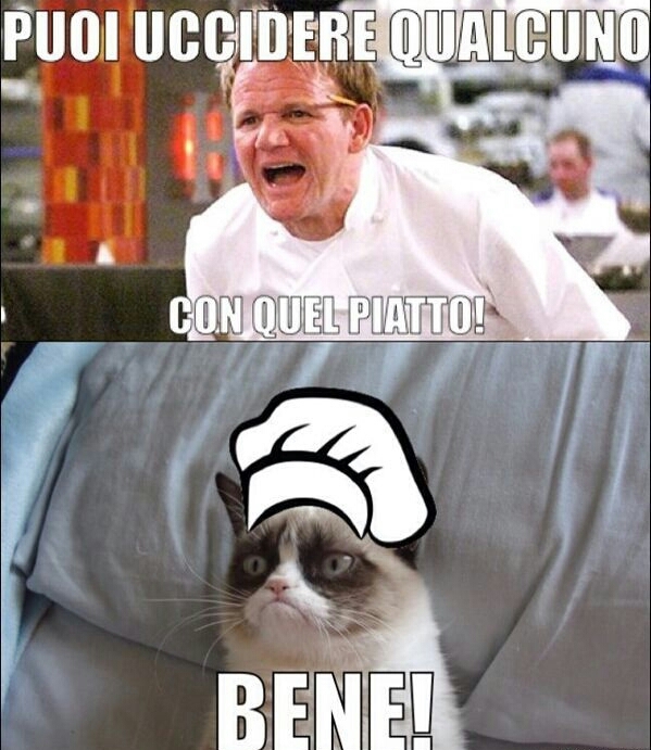 #grumpy cat chef - meme