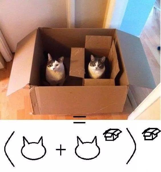 Cats^2 - meme