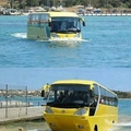 bus evolution