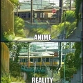 anime vs reality