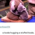 Koala hugs for comment #3