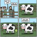 cows are evil