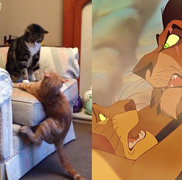 Best Lion King re-enactment - meme