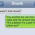 Its a pillow pet xD