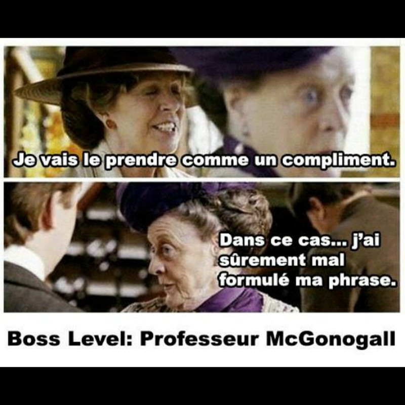 Professeur McGonogall. - meme