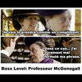 Professeur McGonogall.