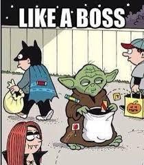 Yoda feel like a boss - meme