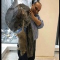 commented item thumbnail