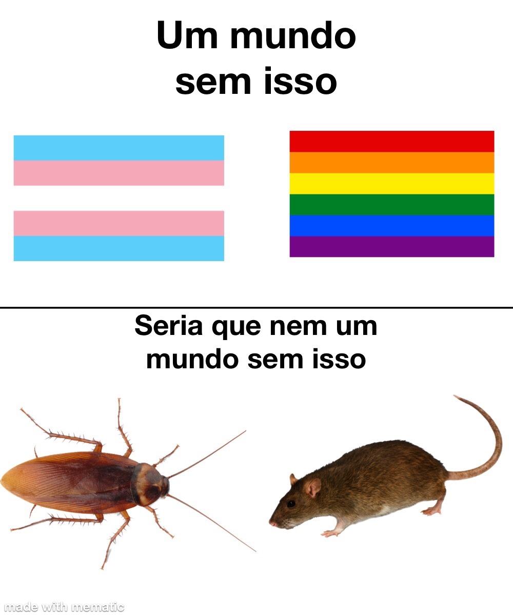 o gayzismo é fascismo colorido,o Olavo de Carvalho tem nos avisado desde 2015 - meme