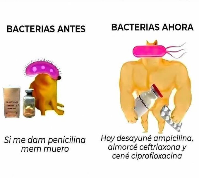 Bacterias chetadas modernas - meme