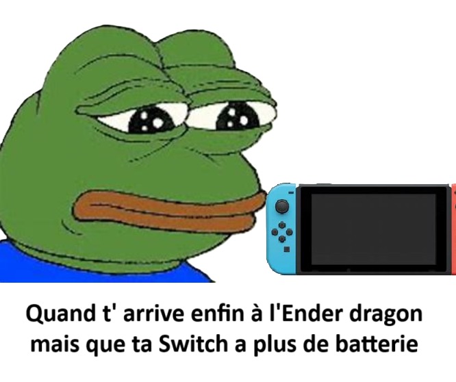 Les joueurs Minecraft sur Switch - meme