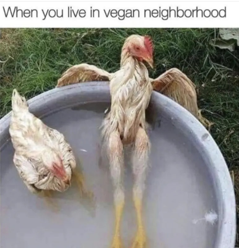That’s tempting fate - meme