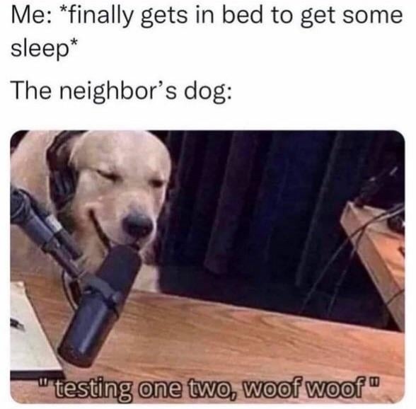 ﻿Me: *finally gets in bed to get some sleep The neighbor’ s dog: ‘testing one two’ ‘woof” wo@f