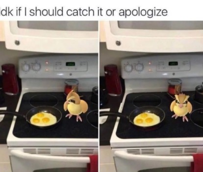 like the eggs im cooking?? - meme