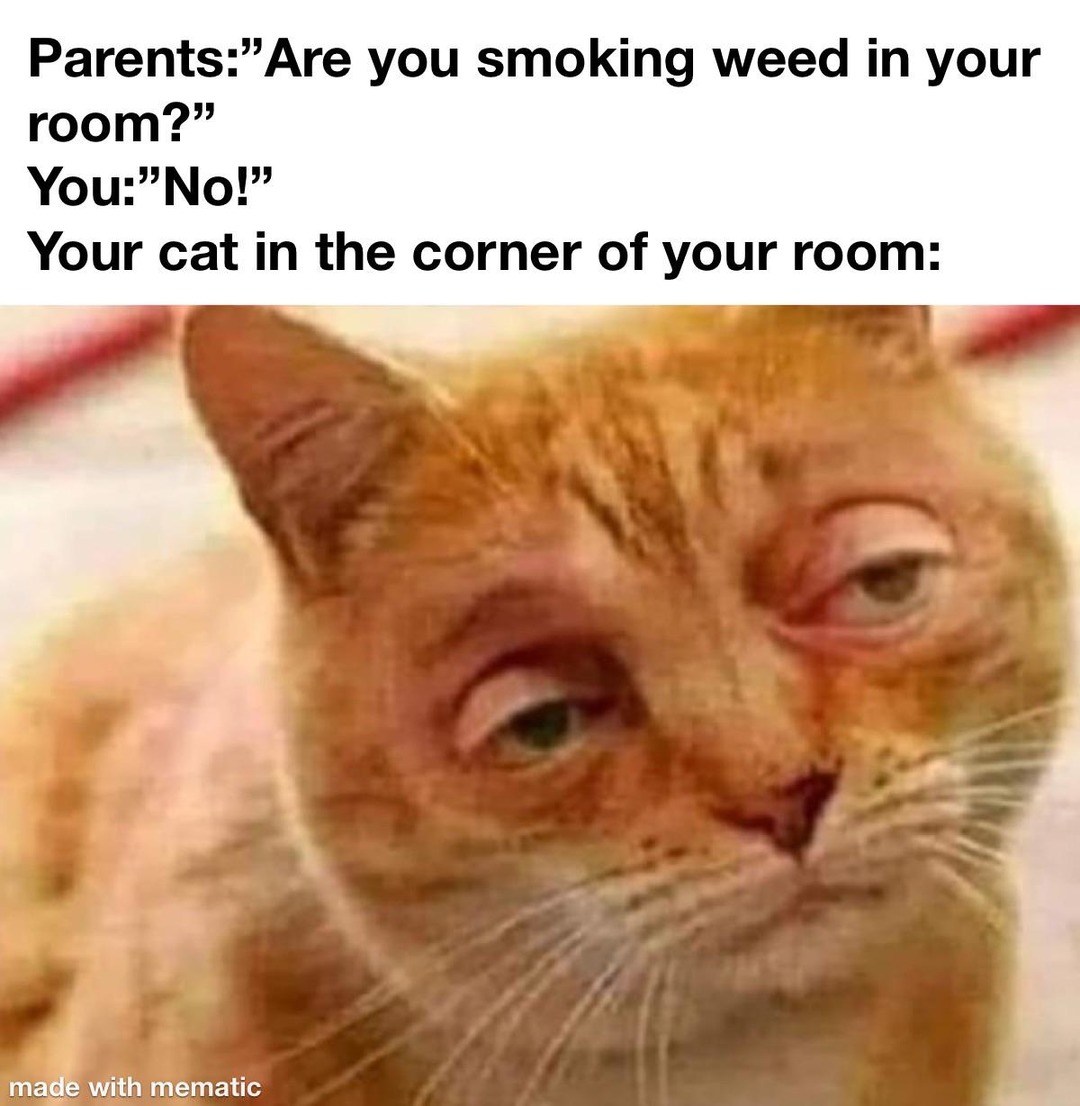 smoking weed memes