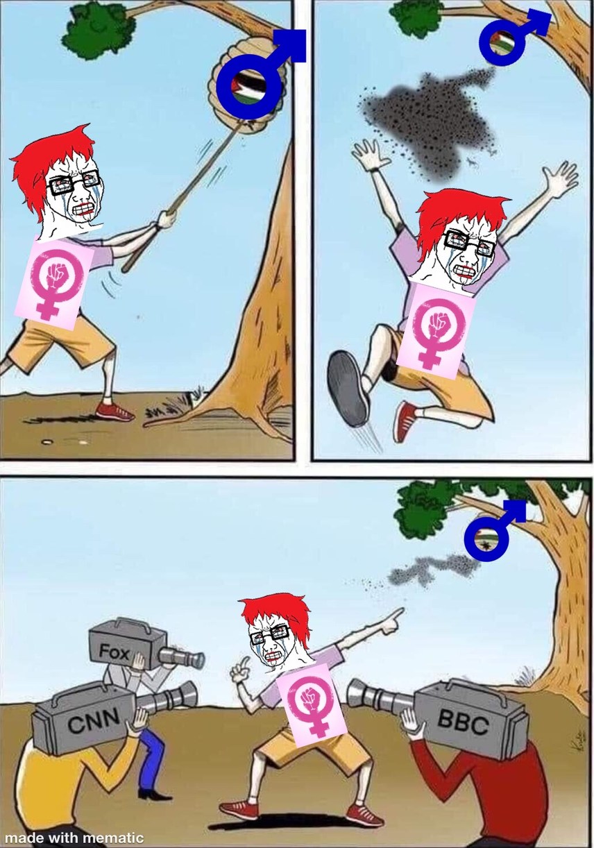 feminismo=câncer - meme