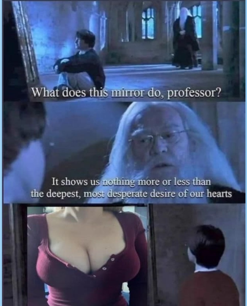 Harry Potter - Meme by Gabriel_23 :) Memedroid