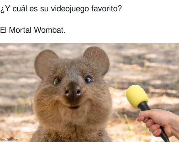 Mortal Wombat - meme
