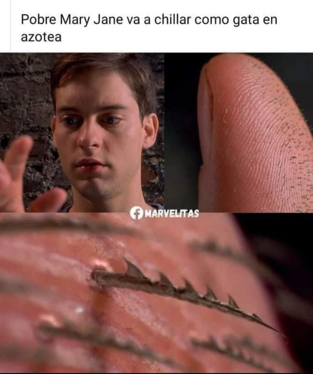 Pobre Mary Jane - meme