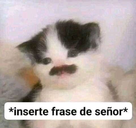Que dicen los señores - meme