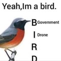 Los pájaros