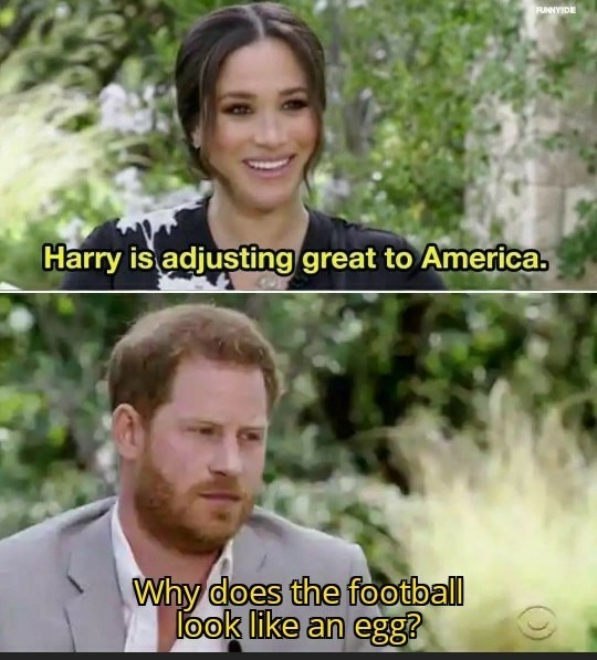 Harry in USA - meme