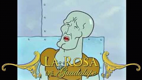 La rosa de Guadalupe - meme