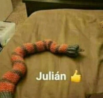 Julian  - meme