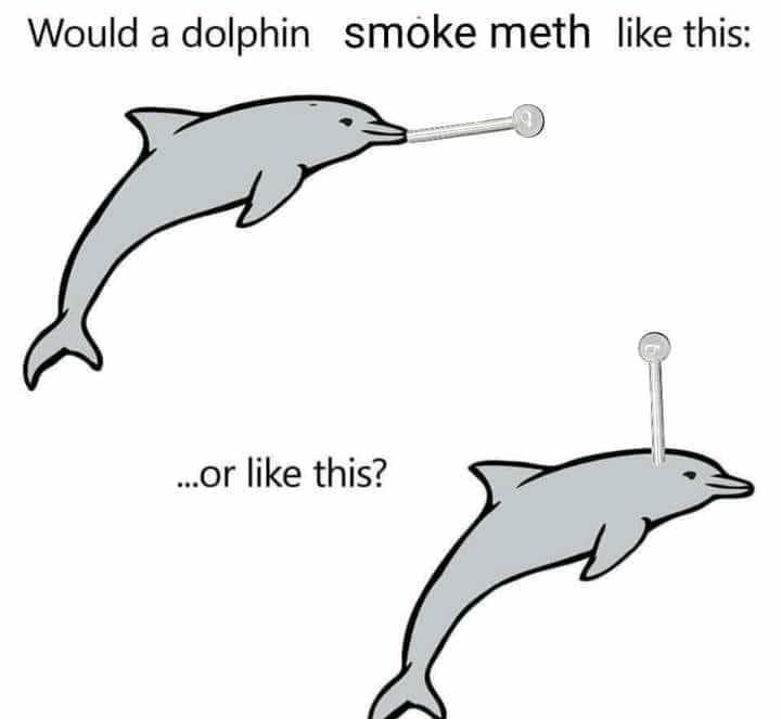 Dolphin tweakers - meme