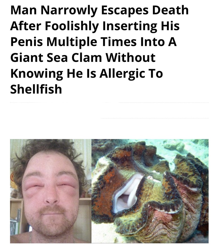 Wrong clam, dude - meme