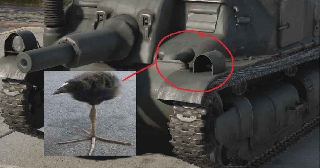 birb - meme