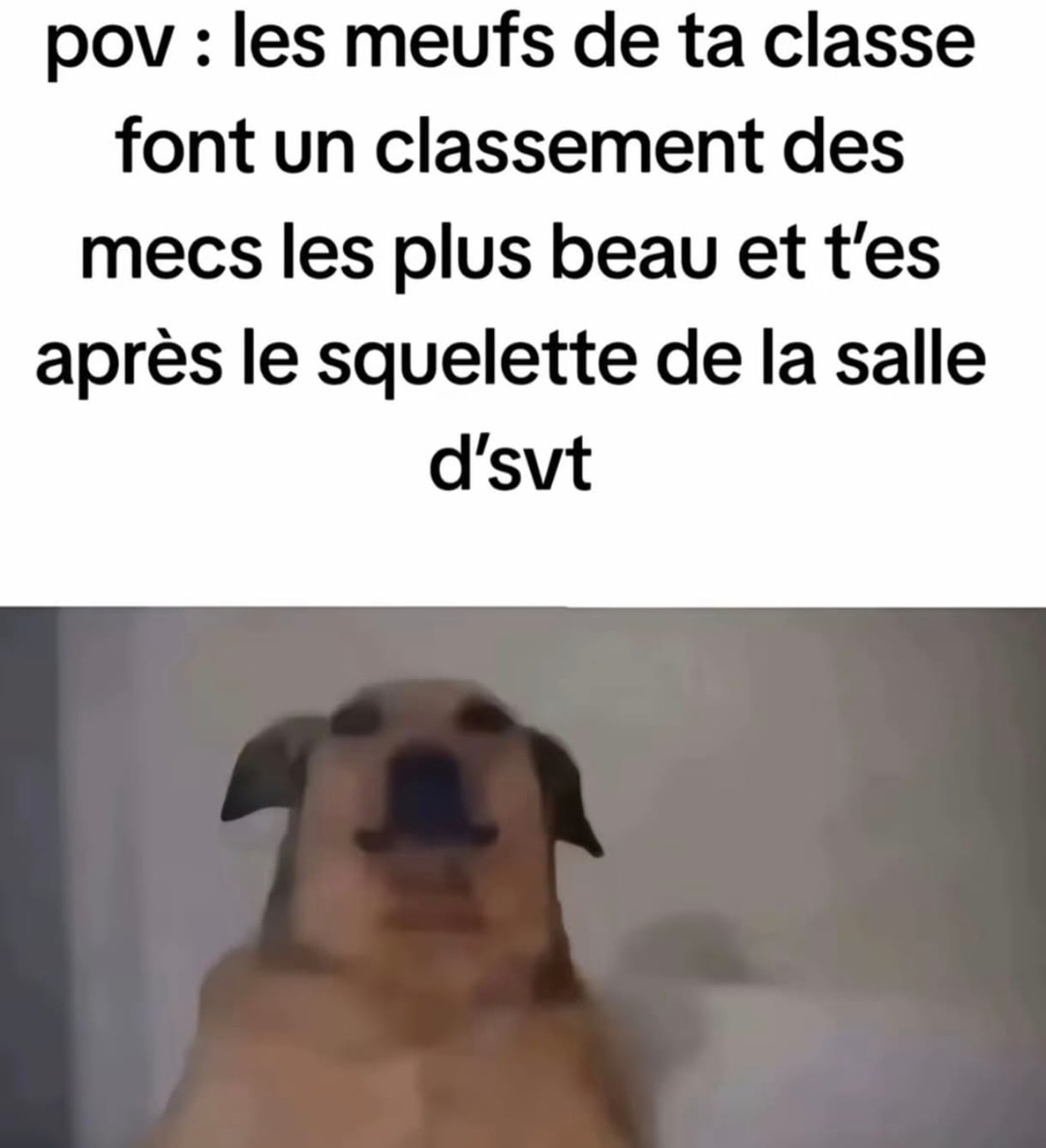 même le squelette a plus de flow que toi - meme