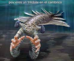 contexto:el animal de la foto es una anomalocaris que caza trilobites fue el depredador mas fuerte asta el cambrico medio - meme