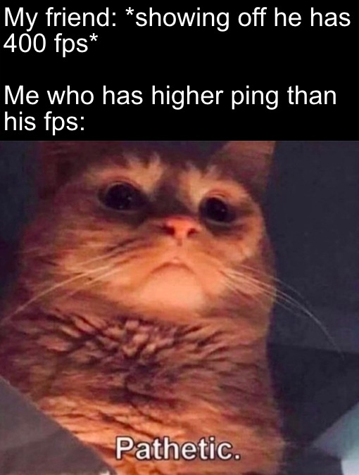 My ping is higher than my fps - meme
