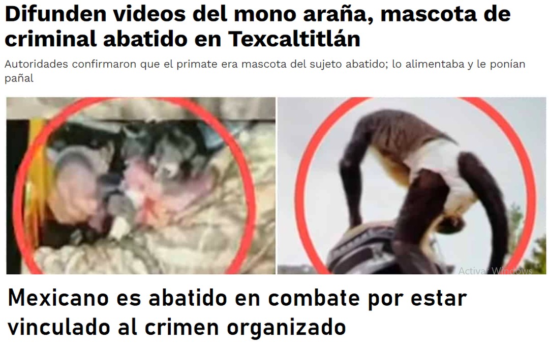 Literalmente un mexichango murió en una balacera - meme