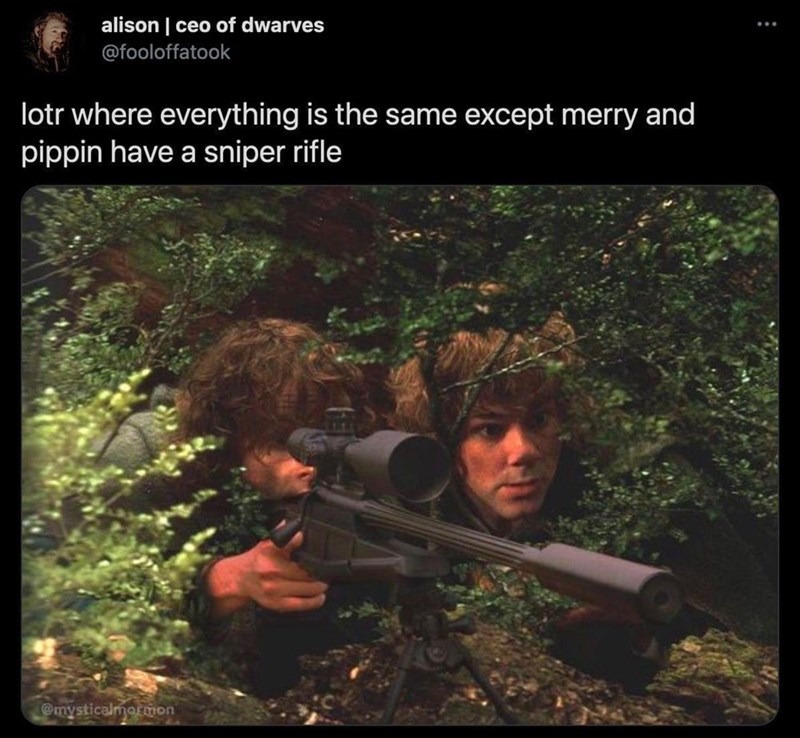 Sniper rifle in the Lord of the rings - meme