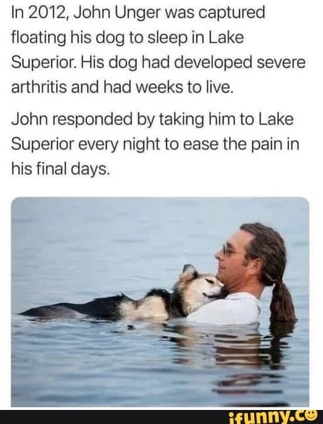 Dog owners are awesome - meme