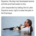 Dog owners are awesome