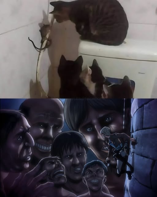 Same vibes - meme