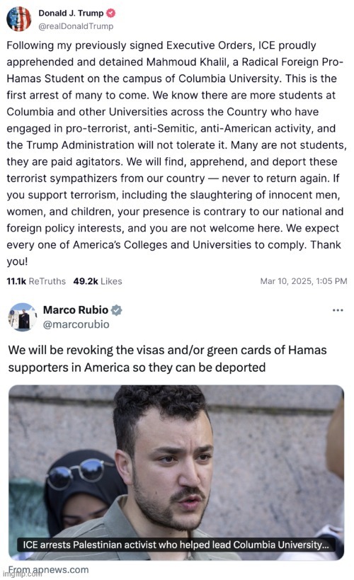 Mahmoud Khalil arrest meme news