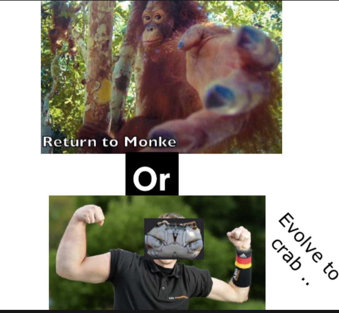 monke or crab - meme