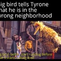 Bigbird