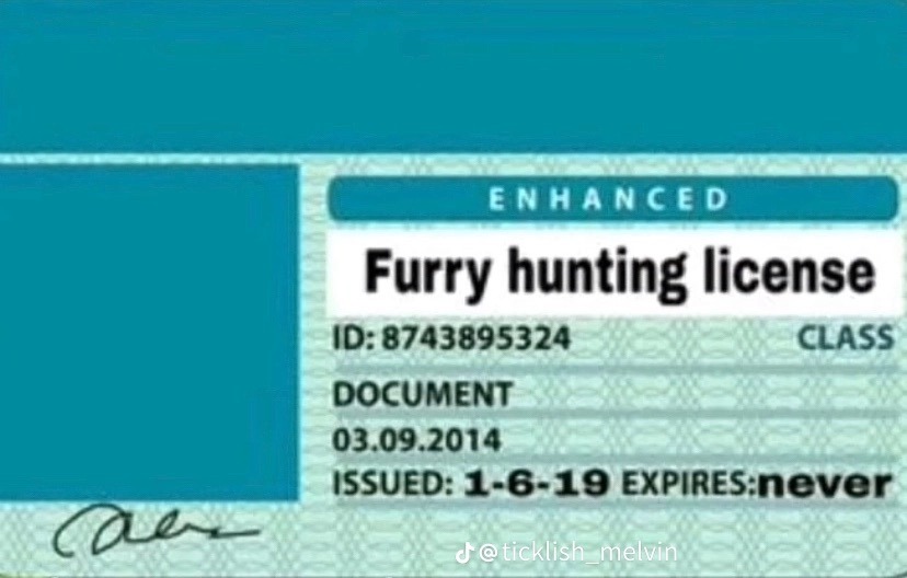 Licencia para cazar furros, luego me agradecen - meme