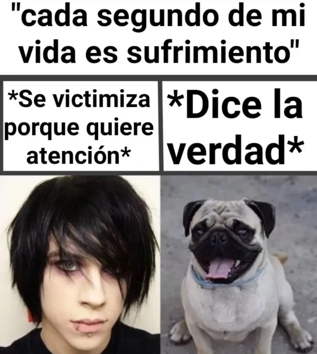 No que los perros pugs tienen sindrome de down o alguna mamada asi? - meme