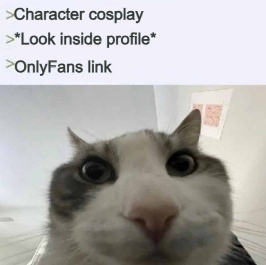 every cosplay now ends with an OnlyFans link - meme