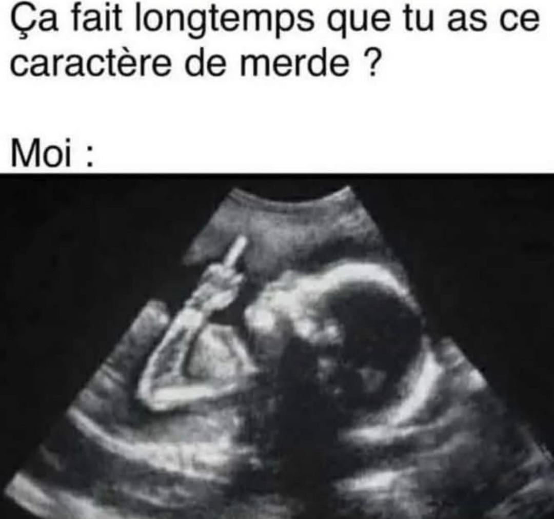 Quand on me demande si j’suis toujours aussi chiant depuis 2003 - meme