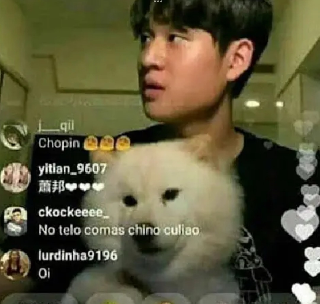 Chino que comen perros - meme