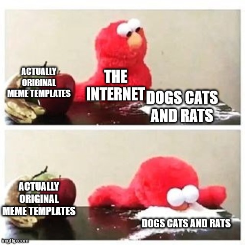 The internet loves those animals - meme